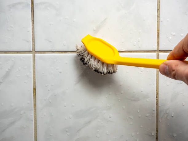 Franklin, IN Mold Removal Company