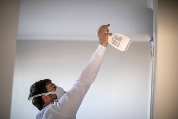 Best Water Damage Restoration  in Frankl, IN