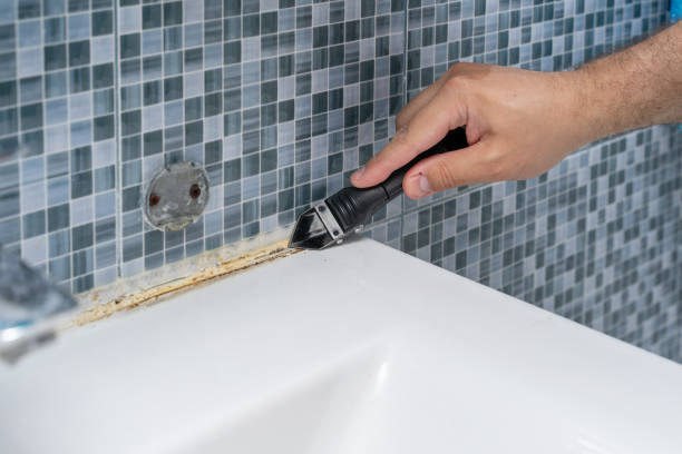 Mold Testing and Removal in Franklin, IN